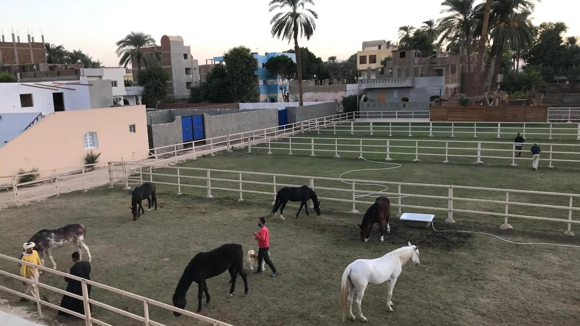 Apartment Star - Guest House Luxor